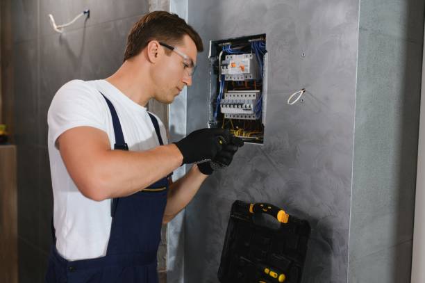 Best Electrician for Home Renovation  in Eagle Lake, MN