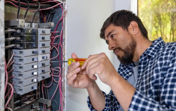 Best Home Electrical Repair  in Eagle Lake, MN